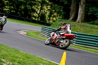 cadwell-no-limits-trackday;cadwell-park;cadwell-park-photographs;cadwell-trackday-photographs;enduro-digital-images;event-digital-images;eventdigitalimages;no-limits-trackdays;peter-wileman-photography;racing-digital-images;trackday-digital-images;trackday-photos